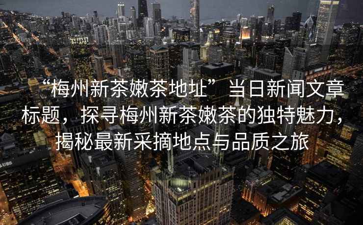 “梅州新茶嫩茶地址”當日新聞文章標題，探尋梅州新茶嫩茶的獨特魅力，揭秘最新采摘地點(diǎn)與品質(zhì)之旅