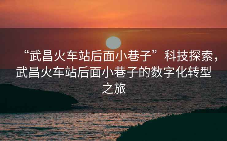 “武昌火車(chē)站后面小巷子”科技探索，武昌火車(chē)站后面小巷子的數字化轉型之旅