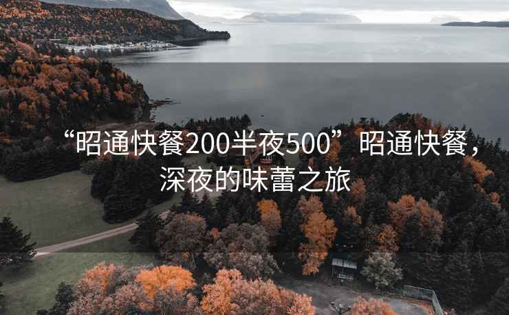 “昭通快餐200半夜500”昭通快餐，深夜的味蕾之旅