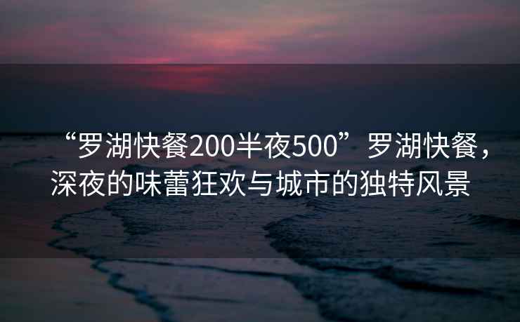 “羅湖快餐200半夜500”羅湖快餐，深夜的味蕾狂歡與城市的獨特風(fēng)景