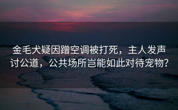 金毛犬疑因蹭空調被打死，主人發(fā)聲討公道，公共場(chǎng)所豈能如此對待寵物？