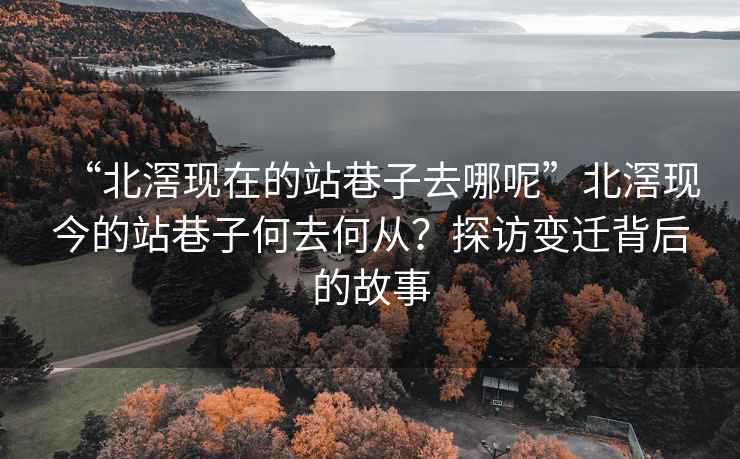“北滘現在的站巷子去哪呢”北滘現今的站巷子何去何從？探訪(fǎng)變遷背后的故事