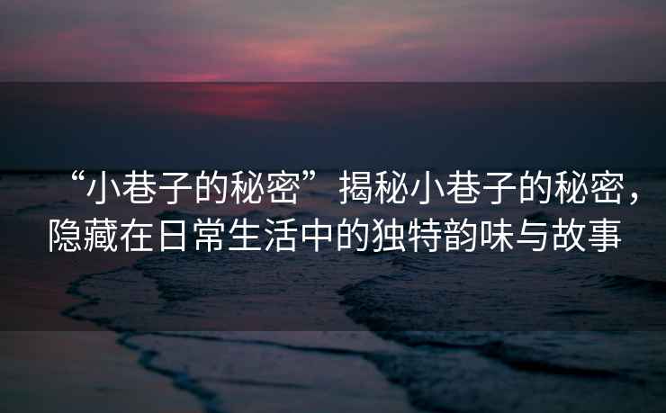 “小巷子的秘密”揭秘小巷子的秘密，隱藏在日常生活中的獨特韻味與故事
