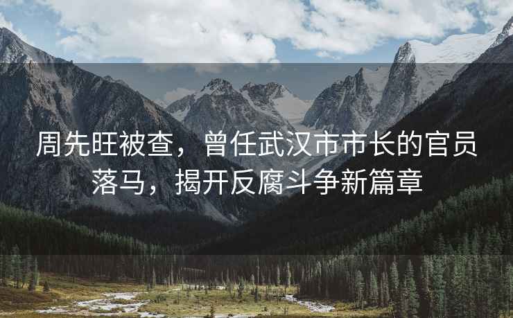 周先旺被查，曾任武漢市市長(cháng)的官員落馬，揭開(kāi)反腐斗爭新篇章
