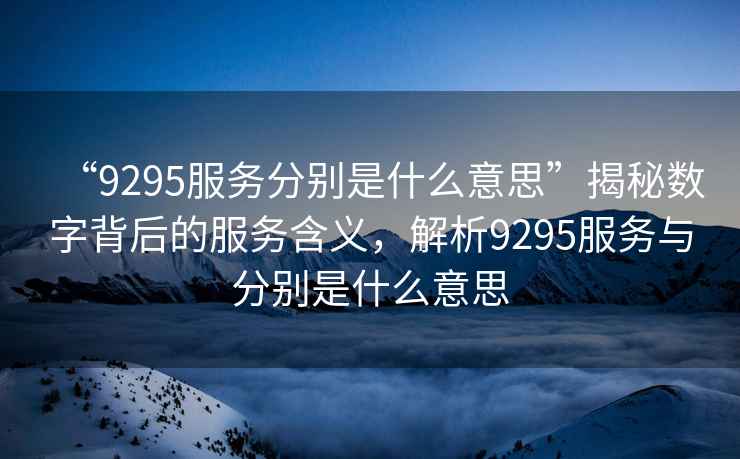 “9295服務(wù)分別是什么意思”揭秘數字背后的服務(wù)含義，解析9295服務(wù)與分別是什么意思