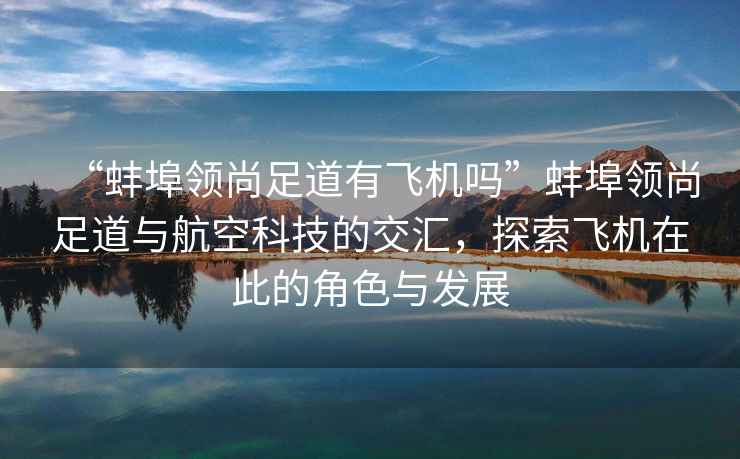 “蚌埠領(lǐng)尚足道有飛機嗎”蚌埠領(lǐng)尚足道與航空科技的交匯，探索飛機在此的角色與發(fā)展