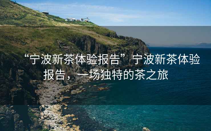 “寧波新茶體驗報告”寧波新茶體驗報告，一場(chǎng)獨特的茶之旅