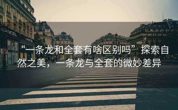 “一條龍和全套有啥區別嗎”探索自然之美，一條龍與全套的微妙差異