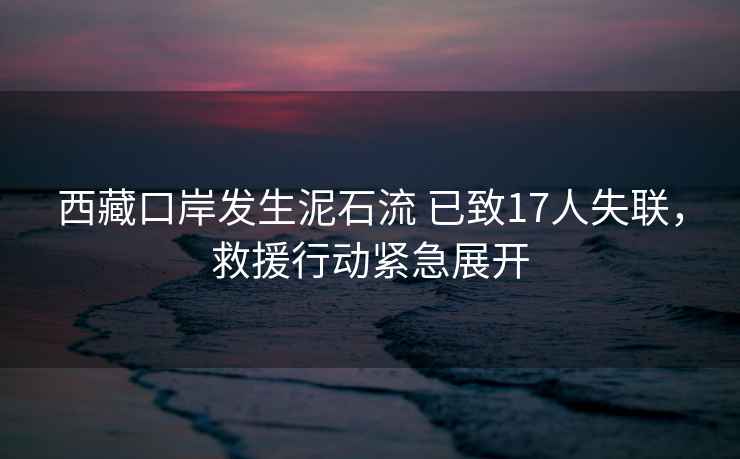 西藏口岸發(fā)生泥石流 已致17人失聯(lián)，救援行動(dòng)緊急展開(kāi)