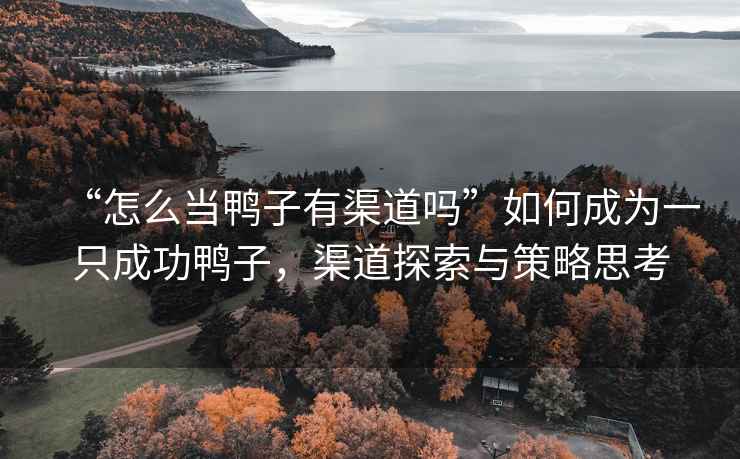 “怎么當鴨子有渠道嗎”如何成為一只成功鴨子，渠道探索與策略思考