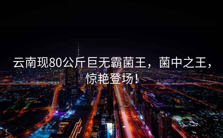 云南現80公斤巨無(wú)霸菌王，菌中之王，驚艷登場(chǎng)！