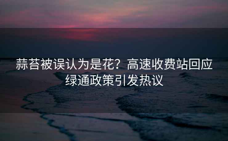 蒜苔被誤認為是花？高速收費站回應綠通政策引發(fā)熱議