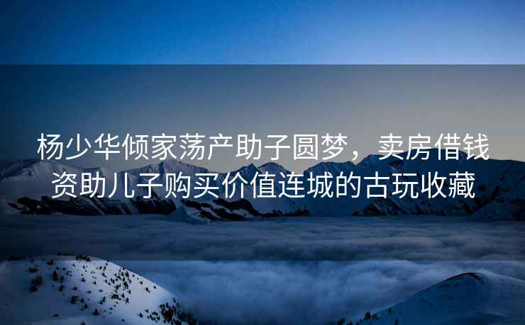 楊少華傾家蕩產(chǎn)助子圓夢(mèng)，賣(mài)房借錢(qián)資助兒子購買(mǎi)價(jià)值連城的古玩收藏