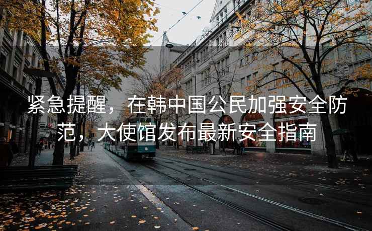 緊急提醒，在韓中國公民加強安全防范，大使館發(fā)布最新安全指南