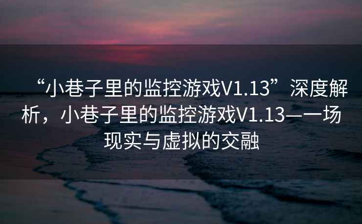 “小巷子里的監控游戲V1.13”深度解析，小巷子里的監控游戲V1.13—一場(chǎng)現實(shí)與虛擬的交融