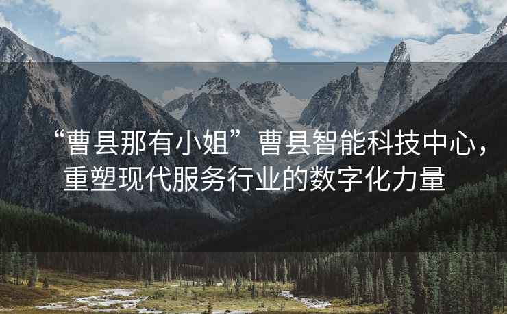 “曹縣那有小姐”曹縣智能科技中心，重塑現代服務(wù)行業(yè)的數字化力量