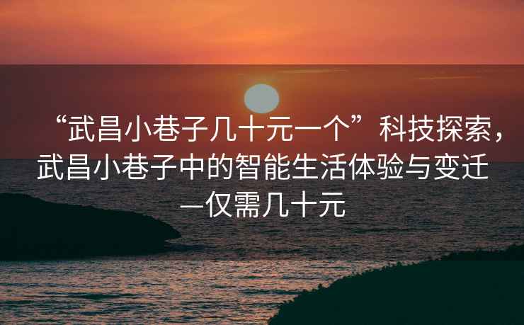 “武昌小巷子幾十元一個(gè)”科技探索，武昌小巷子中的智能生活體驗與變遷—僅需幾十元