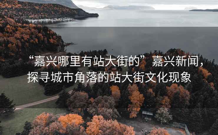 “嘉興哪里有站大街的”嘉興新聞，探尋城市角落的站大街文化現象