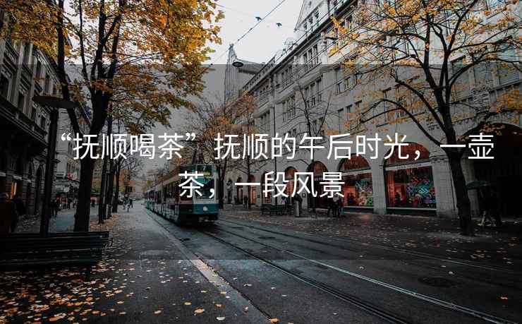 “撫順喝茶”撫順的午后時(shí)光，一壺茶，一段風(fēng)景