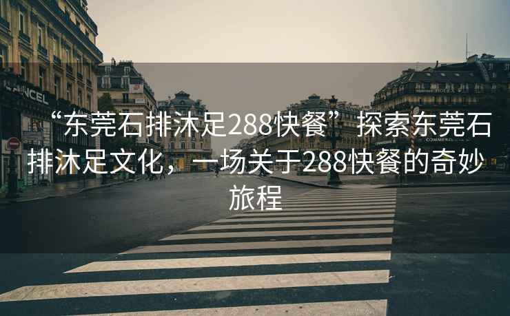 “東莞石排沐足288快餐”探索東莞石排沐足文化，一場(chǎng)關(guān)于288快餐的奇妙旅程