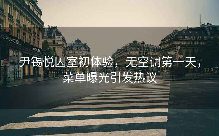 尹錫悅囚室初體驗，無(wú)空調第一天，菜單曝光引發(fā)熱議