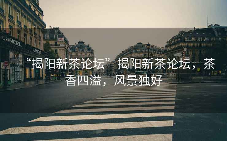 “揭陽(yáng)新茶論壇”揭陽(yáng)新茶論壇，茶香四溢，風(fēng)景獨好