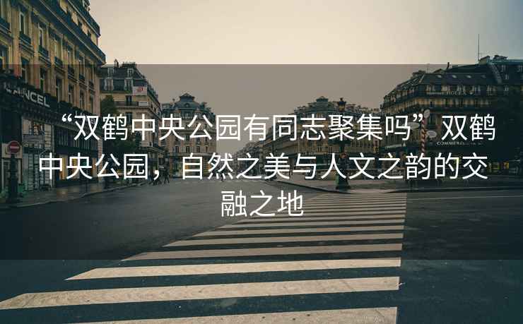 “雙鶴中央公園有同志聚集嗎”雙鶴中央公園，自然之美與人文之韻的交融之地