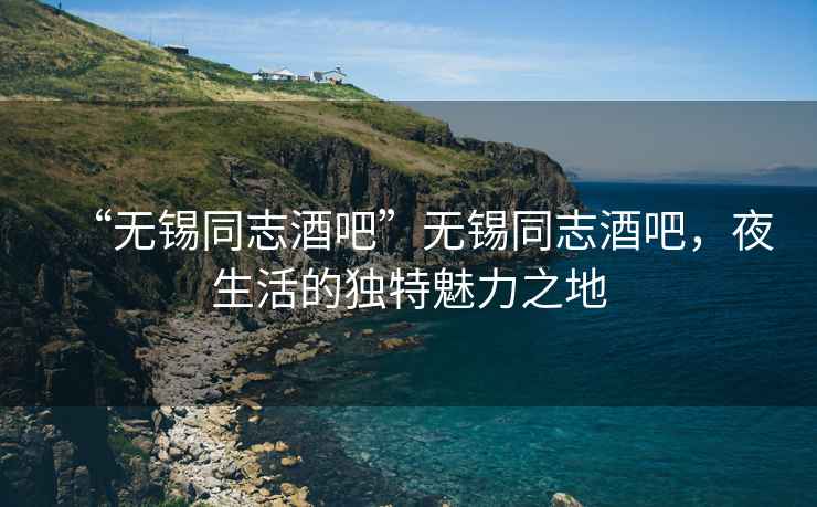 “無(wú)錫同志酒吧”無(wú)錫同志酒吧，夜生活的獨特魅力之地