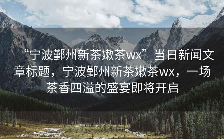 “寧波鄞州新茶嫩茶wx”當日新聞文章標題，寧波鄞州新茶嫩茶wx，一場(chǎng)茶香四溢的盛宴即將開(kāi)啟