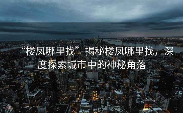 “樓鳳哪里找”揭秘樓鳳哪里找，深度探索城市中的神秘角落