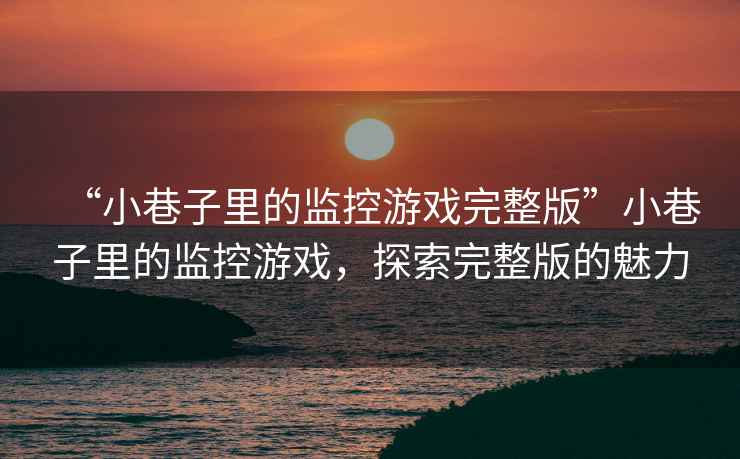 “小巷子里的監控游戲完整版”小巷子里的監控游戲，探索完整版的魅力
