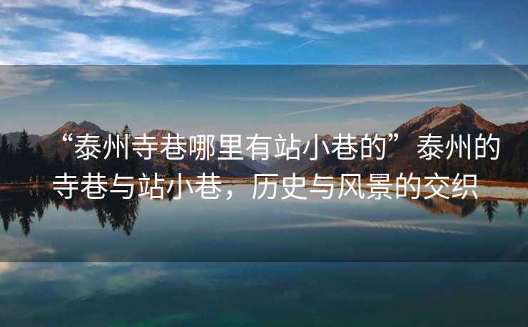 “泰州寺巷哪里有站小巷的”泰州的寺巷與站小巷，歷史與風(fēng)景的交織