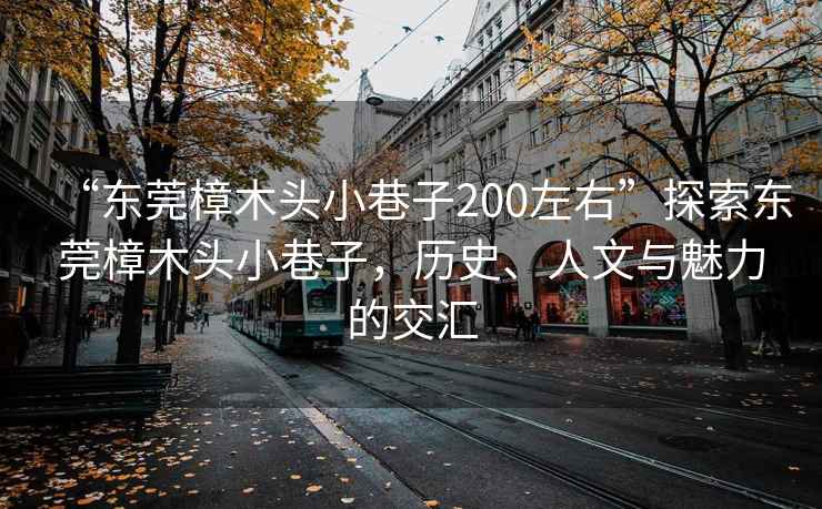 “東莞樟木頭小巷子200左右”探索東莞樟木頭小巷子，歷史、人文與魅力的交匯