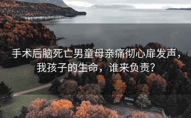 手術(shù)后腦死亡男童母親痛徹心扉發(fā)聲，我孩子的生命，誰(shuí)來(lái)負責？
