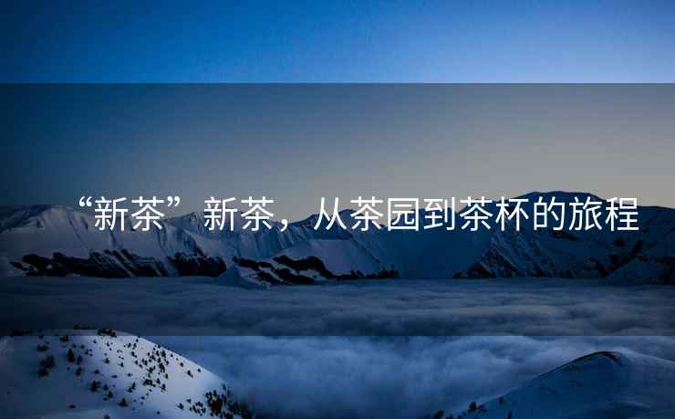 “新茶”新茶，從茶園到茶杯的旅程