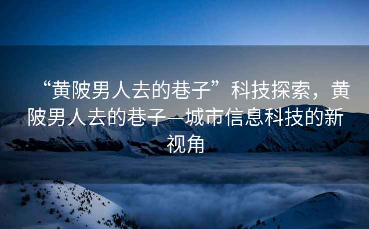 “黃陂男人去的巷子”科技探索，黃陂男人去的巷子—城市信息科技的新視角