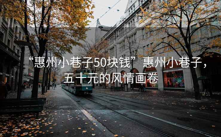 “惠州小巷子50塊錢(qián)”惠州小巷子，五十元的風(fēng)情畫(huà)卷