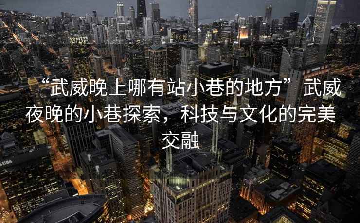 “武威晚上哪有站小巷的地方”武威夜晚的小巷探索，科技與文化的完美交融