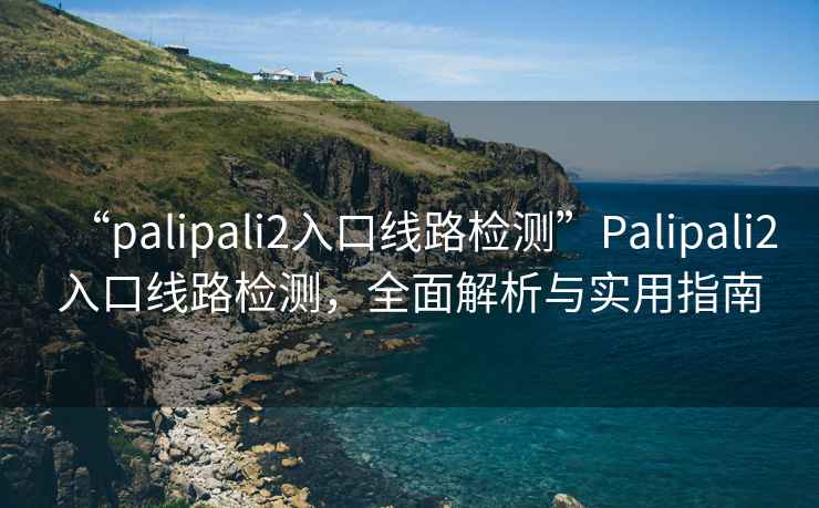 “palipali2入口線(xiàn)路檢測”P(pán)alipali2入口線(xiàn)路檢測，全面解析與實(shí)用指南
