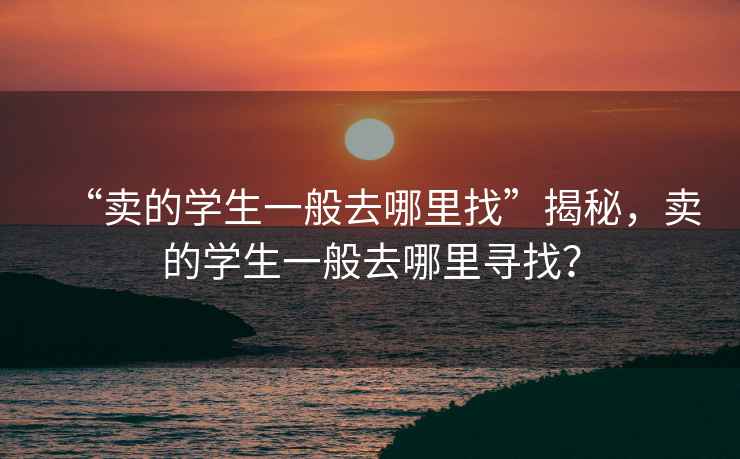 “賣(mài)的學(xué)生一般去哪里找”揭秘，賣(mài)的學(xué)生一般去哪里尋找？