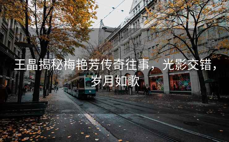 王晶揭秘梅艷芳傳奇往事，光影交錯，歲月如歌