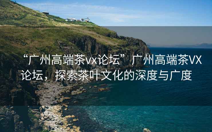 “廣州高端茶vx論壇”廣州高端茶VX論壇，探索茶葉文化的深度與廣度
