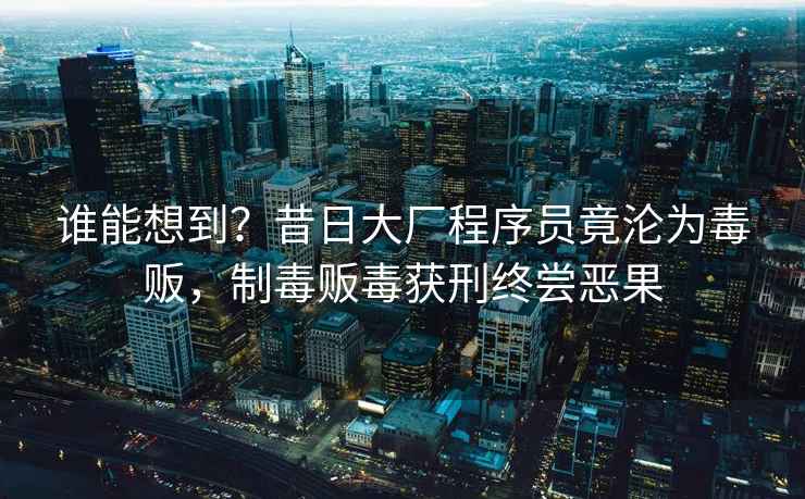 誰(shuí)能想到？昔日大廠(chǎng)程序員竟淪為毒販，制毒販毒獲刑終嘗惡果