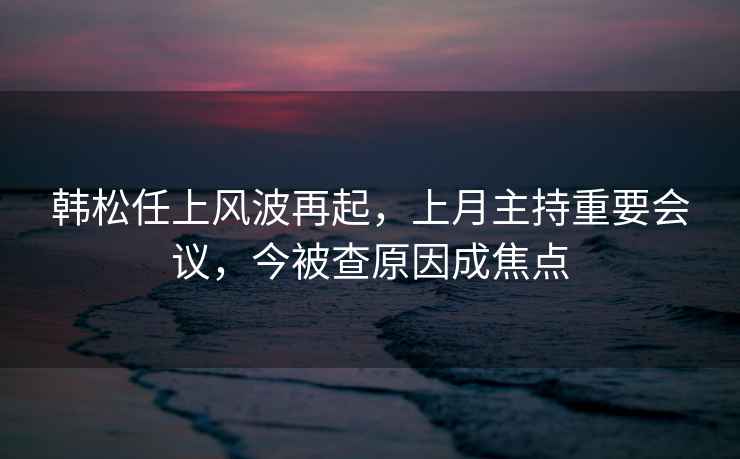 韓松任上風(fēng)波再起，上月主持重要會(huì )議，今被查原因成焦點(diǎn)