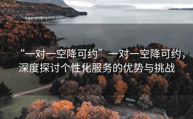 “一對一空降可約”一對一空降可約，深度探討個(gè)性化服務(wù)的優(yōu)勢與挑戰