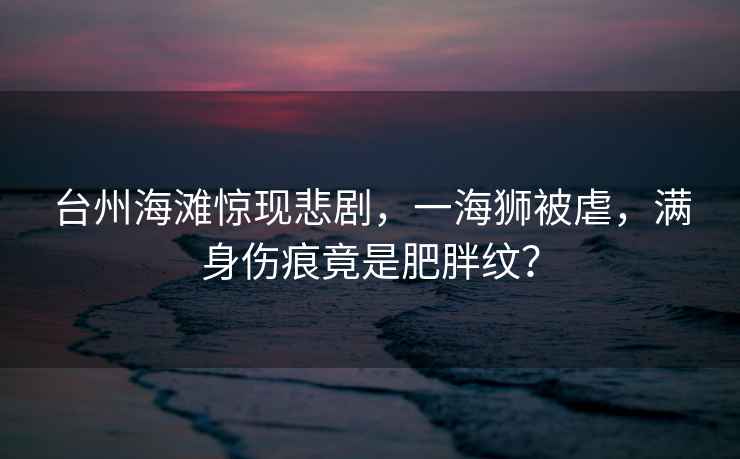 臺州海灘驚現悲劇，一海獅被虐，滿(mǎn)身傷痕竟是肥胖紋？