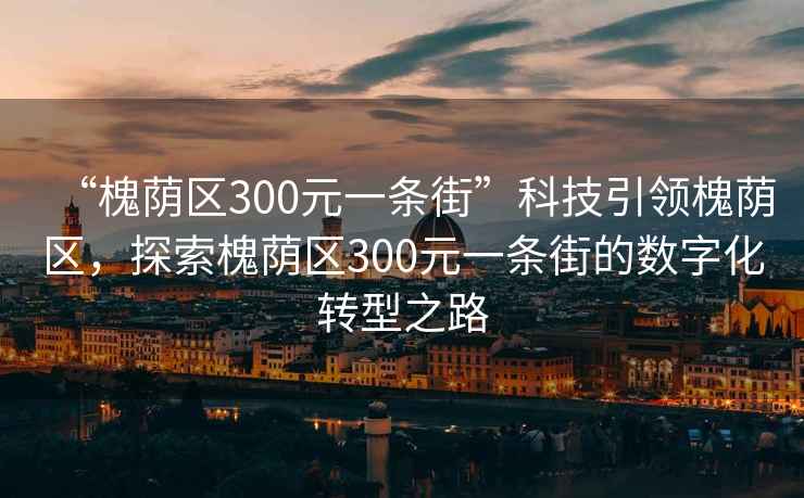 “槐蔭區300元一條街”科技引領(lǐng)槐蔭區，探索槐蔭區300元一條街的數字化轉型之路