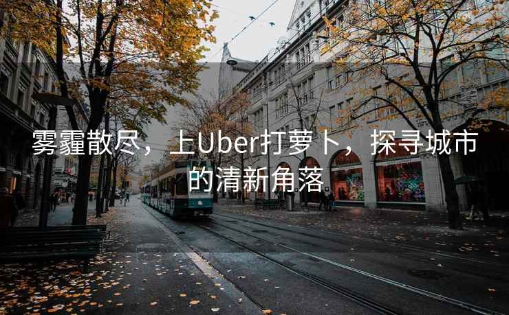 霧霾散盡，上Uber打蘿卜，探尋城市的清新角落