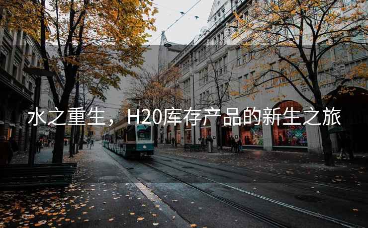 水之重生，H20庫存產(chǎn)品的新生之旅