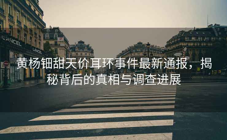 黃楊鈿甜天價(jià)耳環(huán)事件最新通報，揭秘背后的真相與調查進(jìn)展